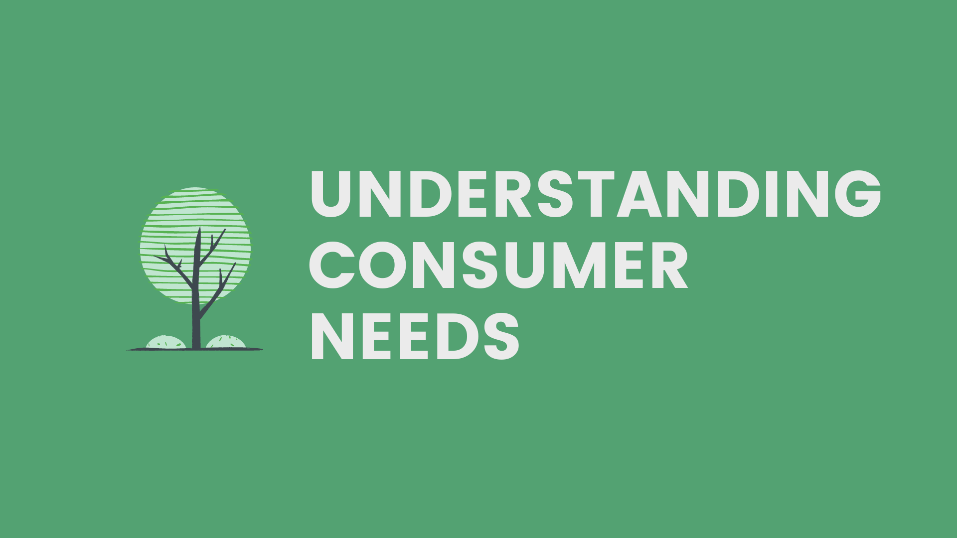 Understanding Consumer Needs
